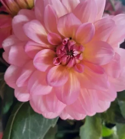 Le Temps De Vivre Holiday home